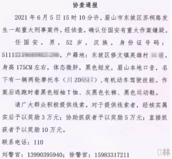 aaa一级毛皮最火的一句歌词＂引发热议，网友纷纷分享其背后的故事与情感共鸣