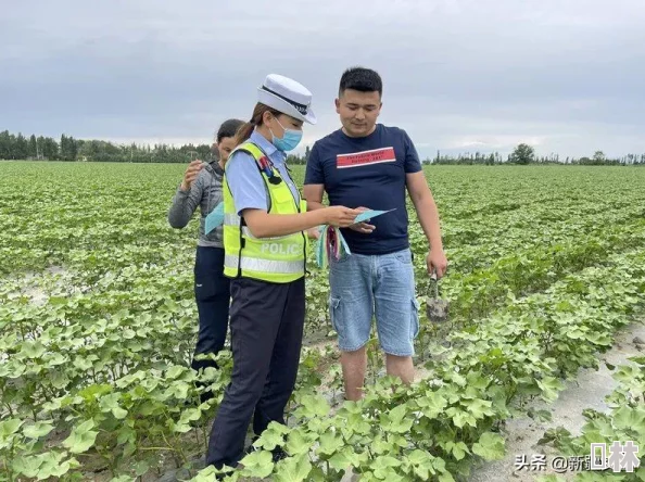 中国新疆XXXXXL19Dfm：探讨其在区域经济发展中的重要性及对当地民生的影响分析