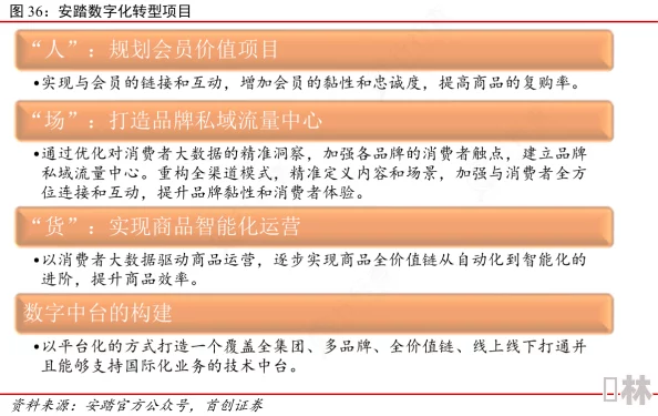 XXXX69：探讨数字化转型对企业竞争力的影响及其在不同行业中的应用案例分析