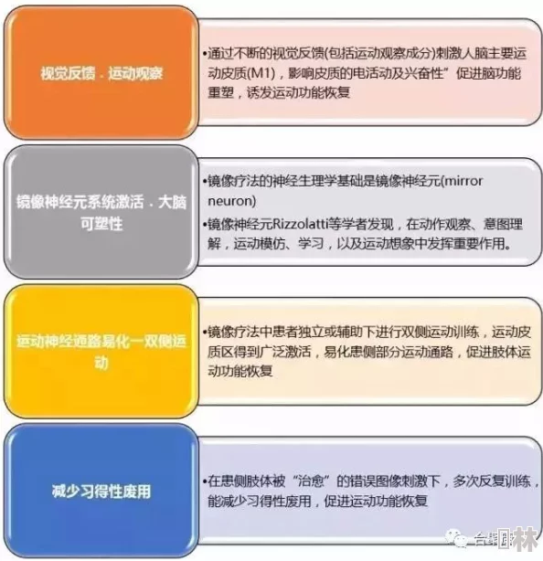 日日操夜夜操狠狠操：最新研究揭示高强度锻炼对身体健康的积极影响与潜在风险分析