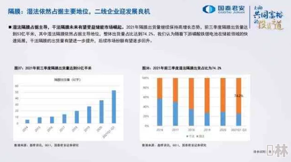 欧美一级视频在线观看：最新动态揭示行业发展趋势与用户需求变化，深度分析市场前景与竞争格局