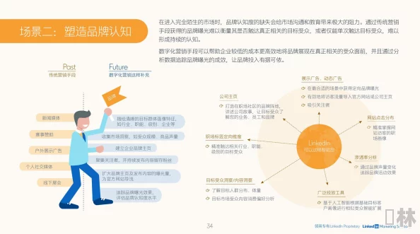 探索未来人生规划新纪元：赫恩流程全方位详细解读与指南