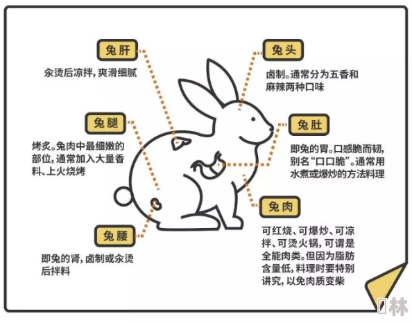 老公天天晚上吃小兔兔对身体好吗？专家解析：营养价值与健康风险的全面分析与建议