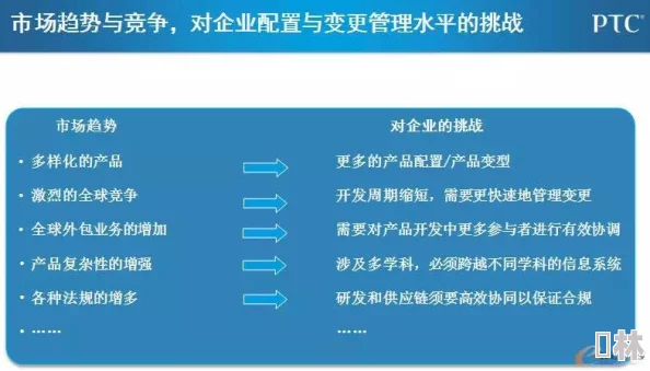 777xxxx：最新进展揭示了项目实施中的关键挑战与解决方案，未来发展方向备受关注