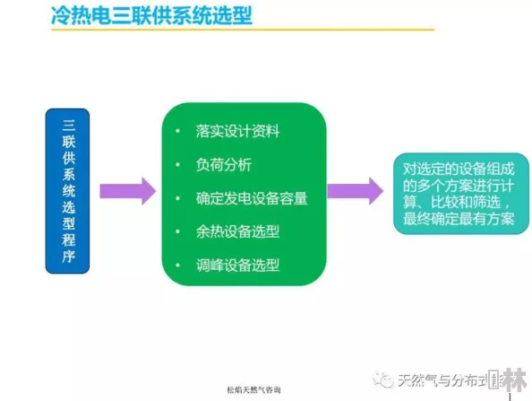 石油大亨进阶攻略：高效利用天然气资源，从零到专家级养气图文详解