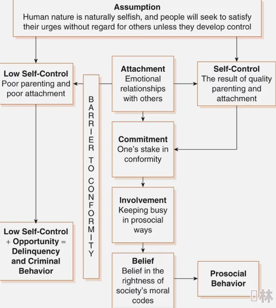 17c黑网暗网：对网络犯罪活动的分析与研究，探讨其对社会安全和法律体系的影响及应对策略