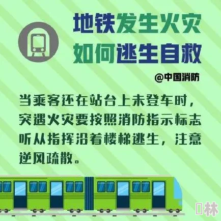 地铁逃生最佳选择：全面解析各服务区优劣势，助你安全快速逃离