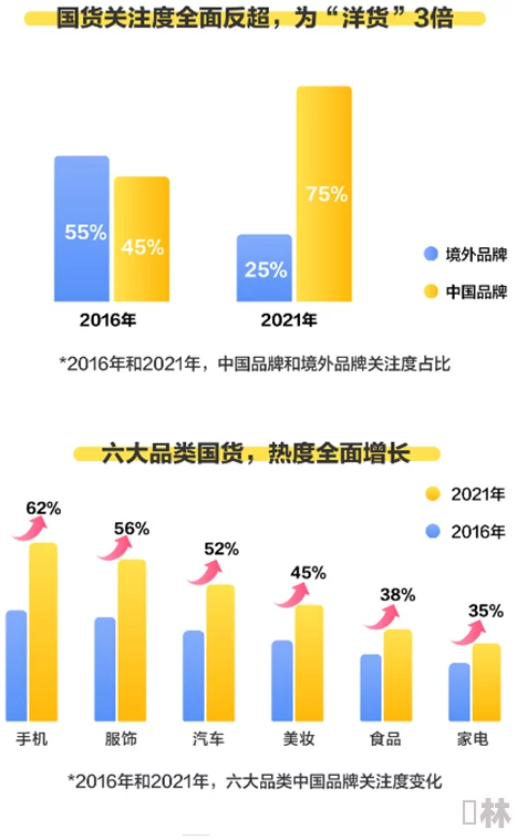 国产毛耸耸：新动态揭示其在市场上的崛起与消费者喜爱的原因分析