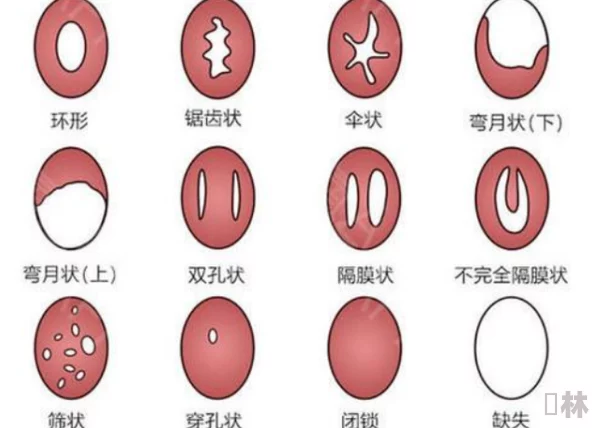 给处女破处的过程：最新研究揭示心理与生理因素对初次性体验的重要影响及其长远效果