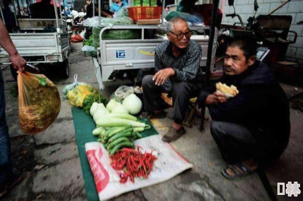 时之歌全面解析：食材获取途径与采集地点详细介绍